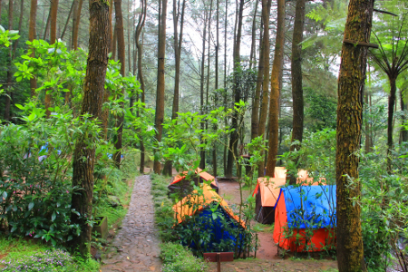 keuntungan smartdailyjournal, fasilitas smartdailyjournal, keunggulan smartdailyjournal, program smartdailyjournal, lokasi smartdailyjournal